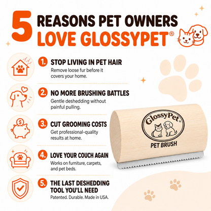 GlossyPet GroomBrush